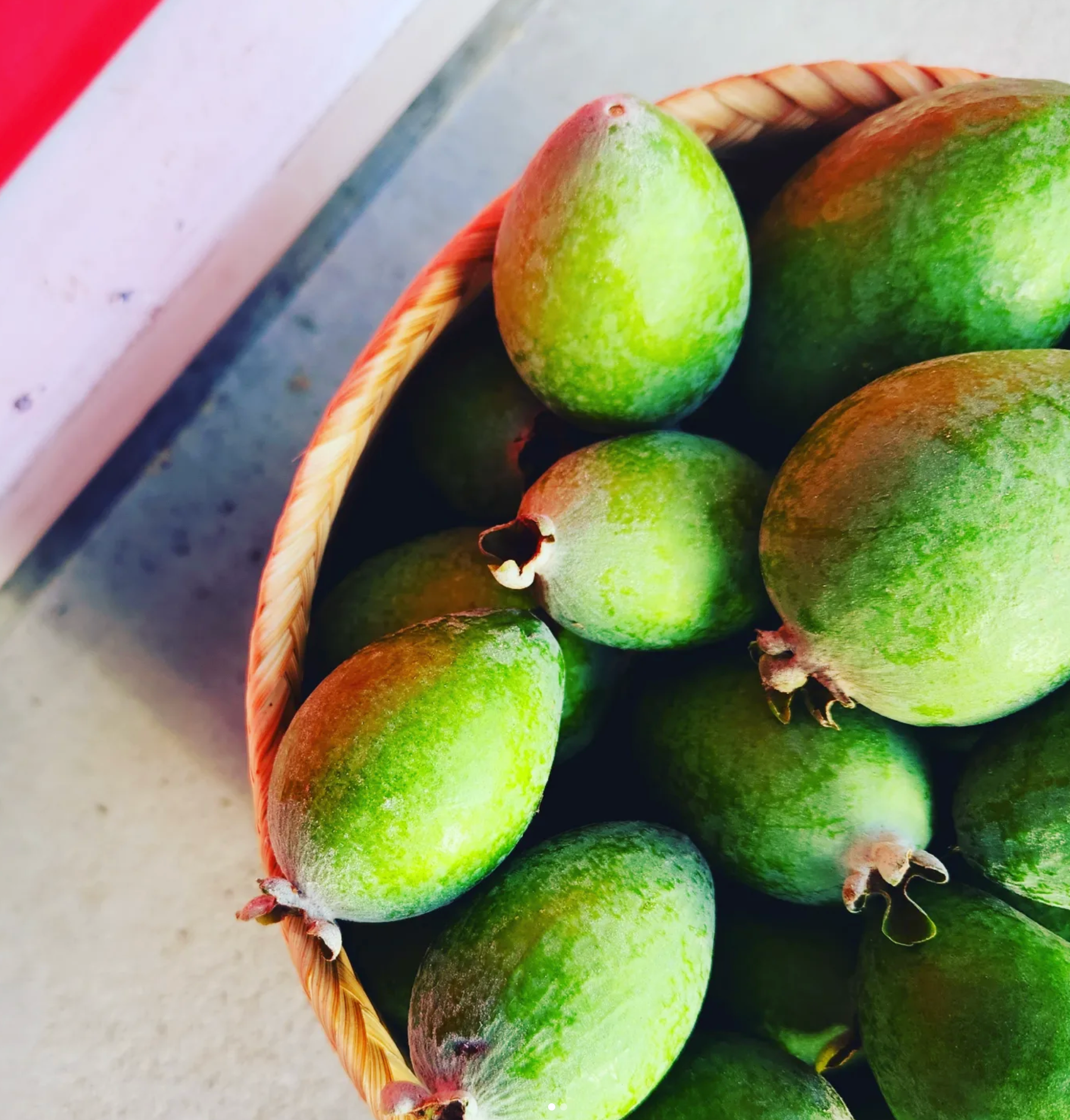 Feijoa + Apple | Cocktail Infusion Jar