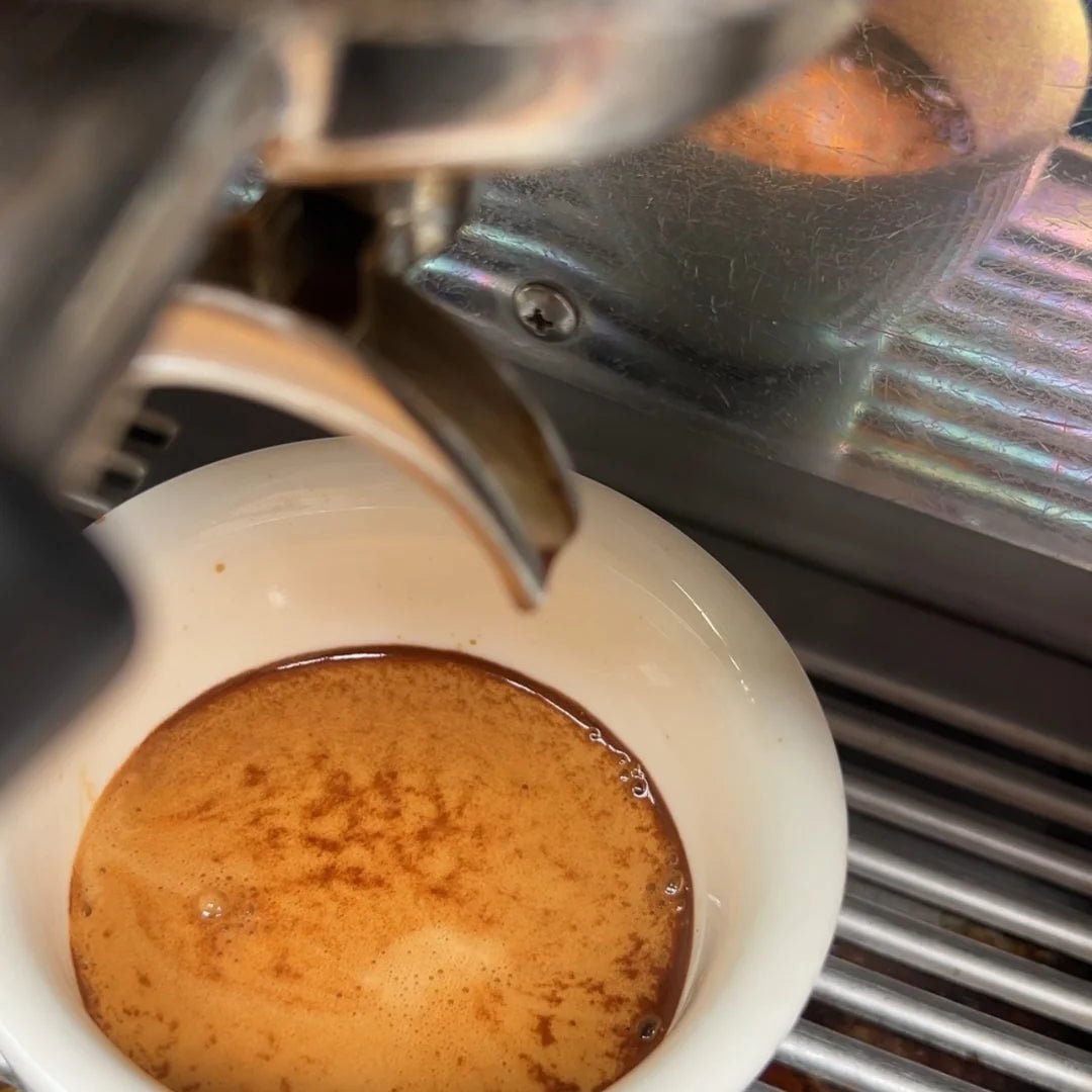 Otto's Corner Store - Riley Coffee Beans - Super Natural
