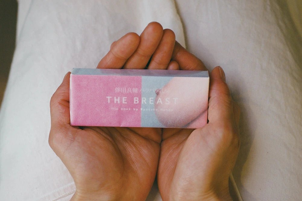 Otto's Corner Store - Ryosuke Handa Flip Book "The Breast"