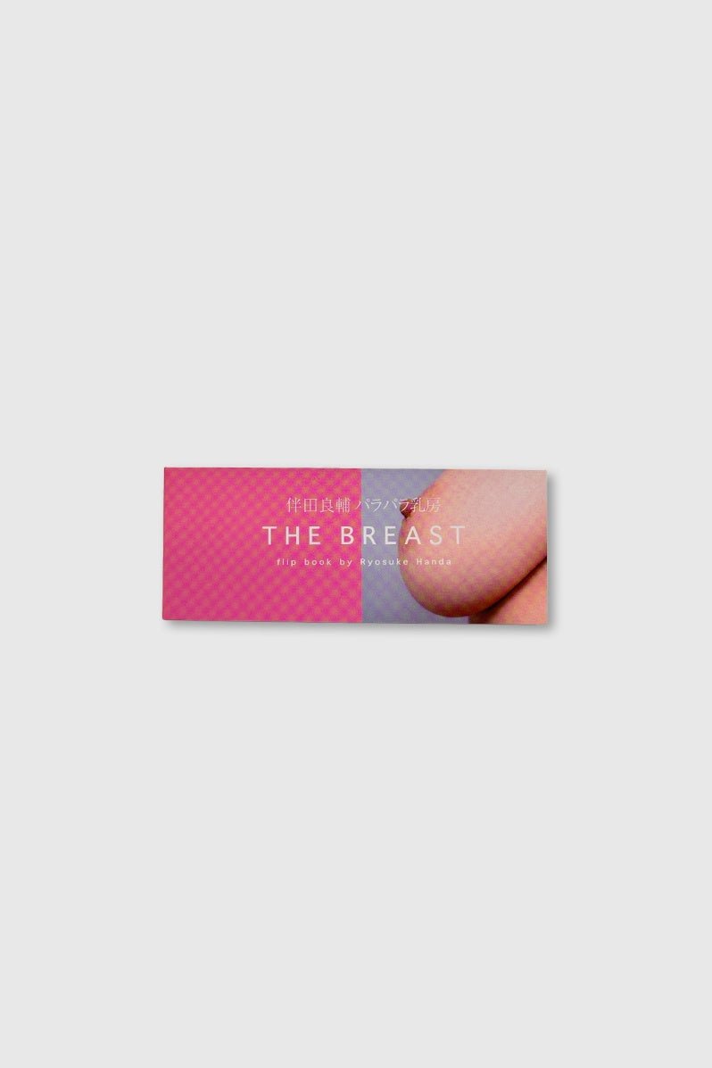 Otto's Corner Store - Ryosuke Handa Flip Book "The Breast"