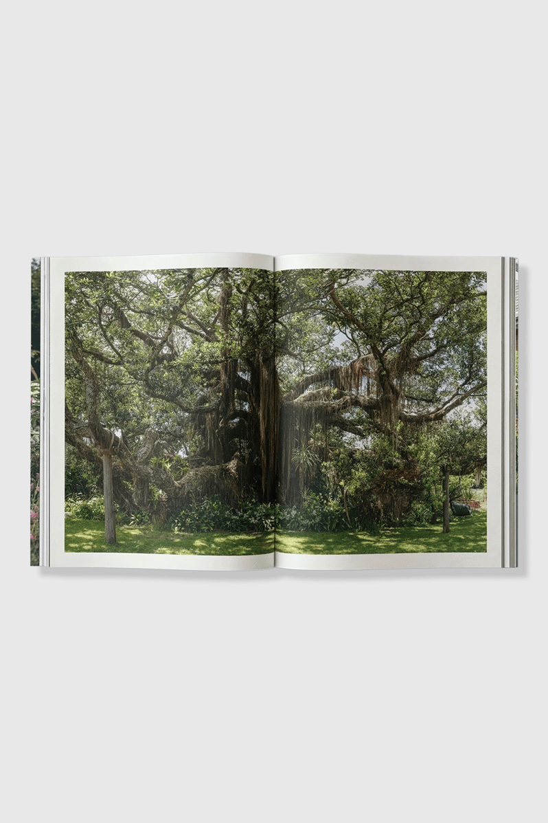 Otto's Corner Store - Sage Journal Vol. 2