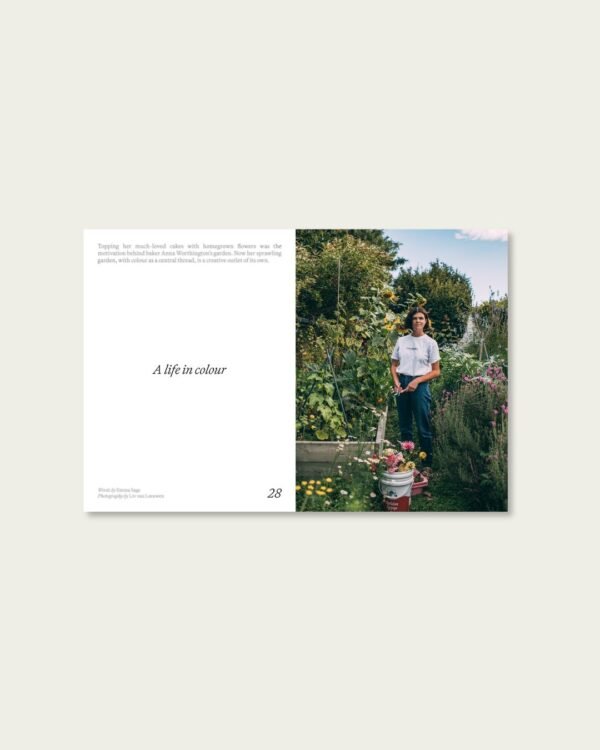 Otto's Corner Store - Sage Journal Vol.1