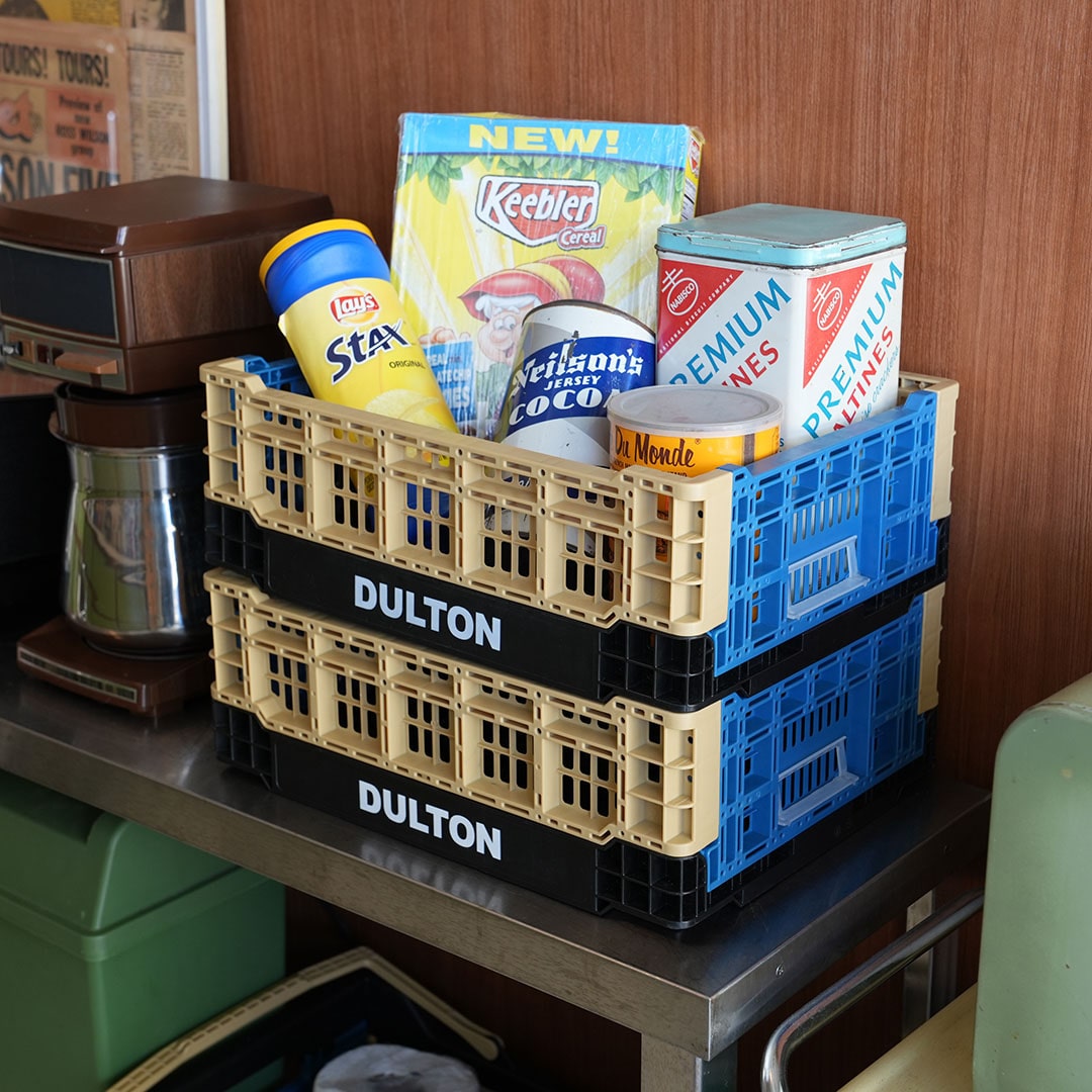 Dulton | Folding Mesh Storage Crate