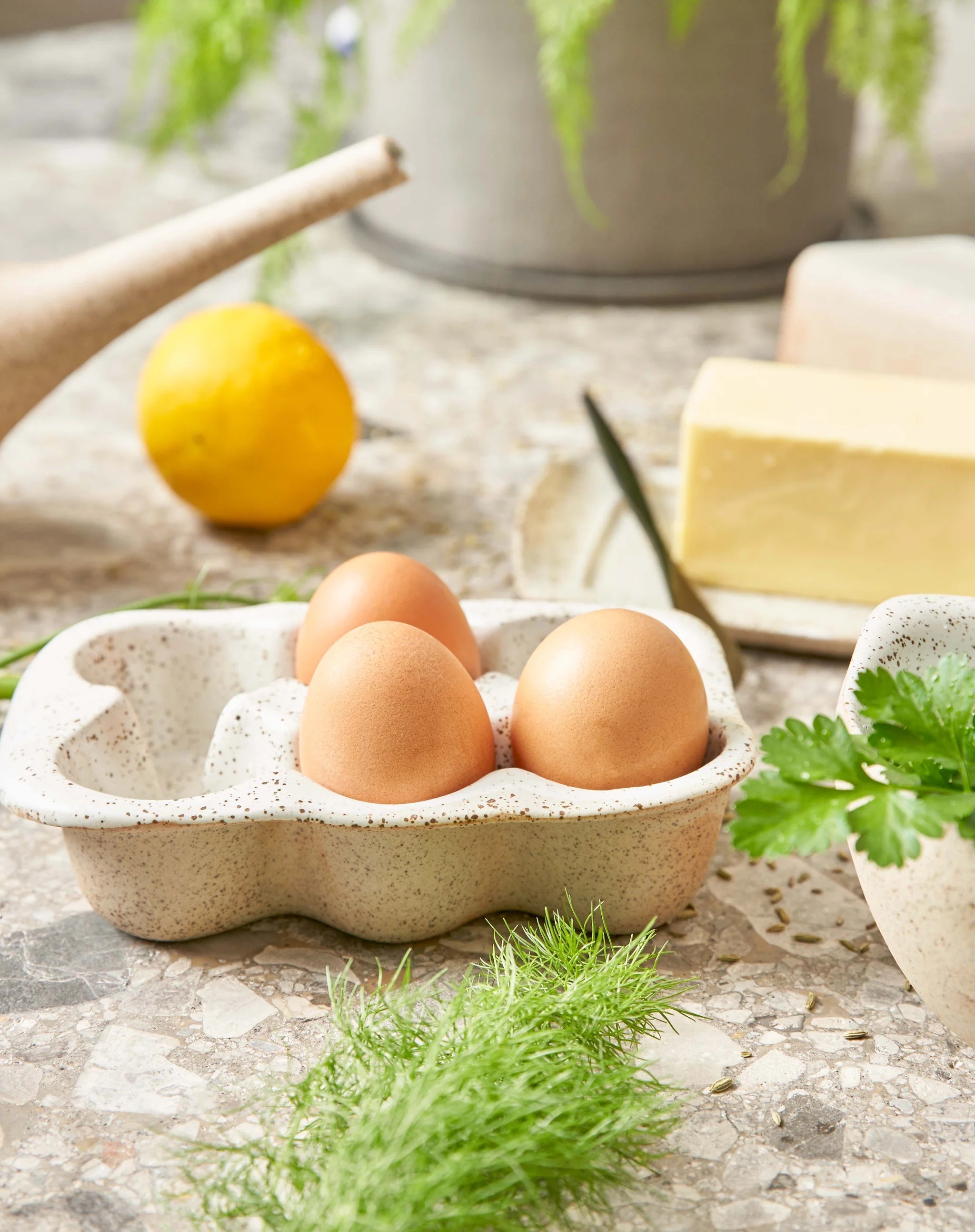 Otto's Corner Store - Ceramic Egg Crate / Holds 6