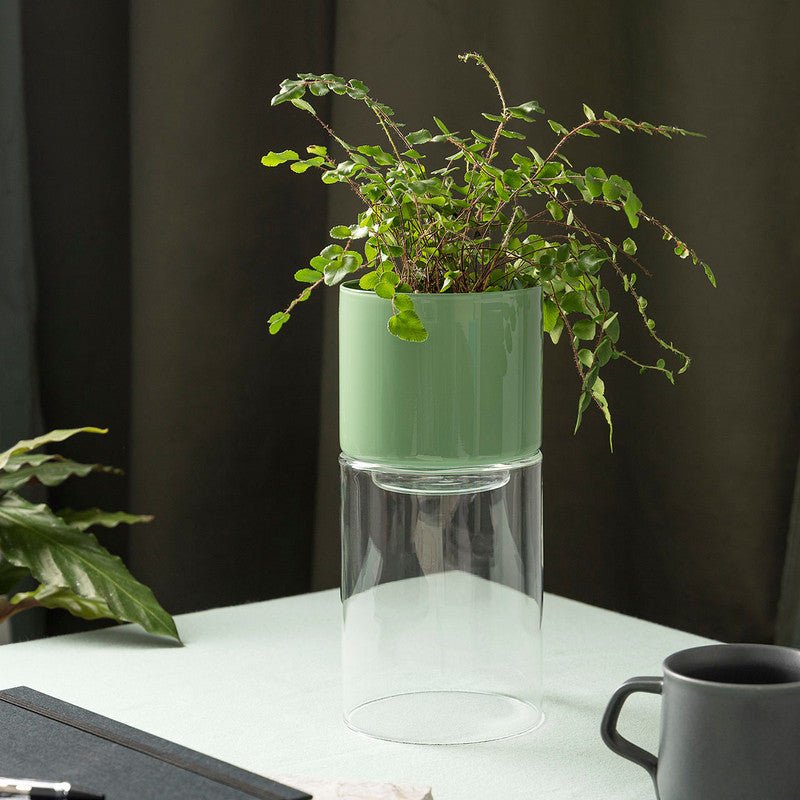 Otto's Corner Store - GLASS FLIP PLANTER - TALL - CLEAR/SAGE