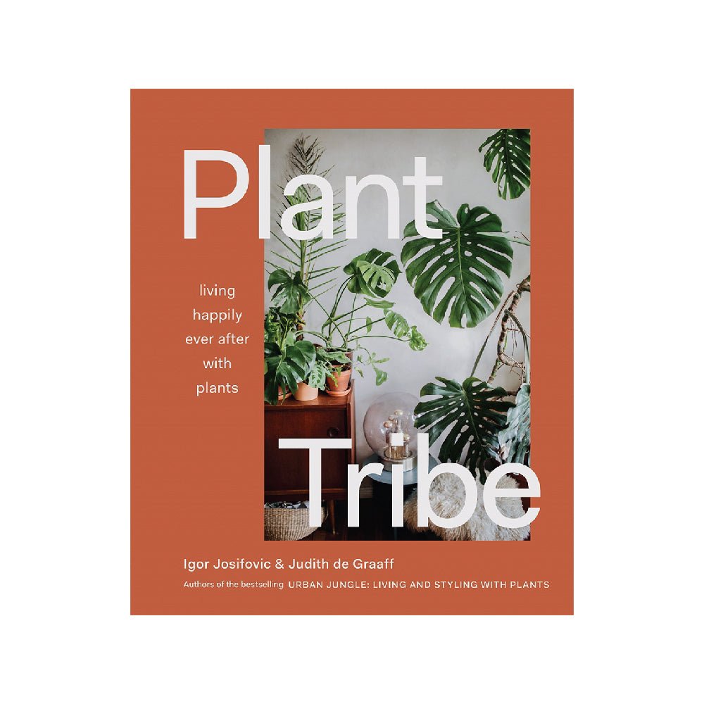 Otto's Corner Store - Plant Tribe